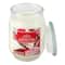 17oz. Christmas Scented Jar Candle by Ashland®